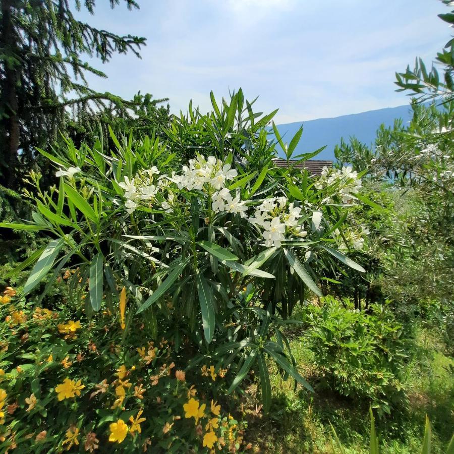 Le Lac Tresserve Екстериор снимка